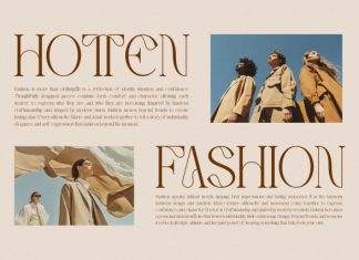 Reichi || Modern Classy Serif Font preview image 2