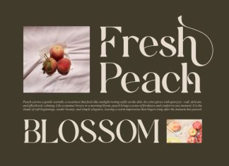Amotha || Modern Classy Serif Font preview image 3