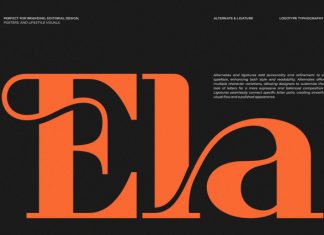 Ficrom || Modern Retro Serif Font preview image 3
