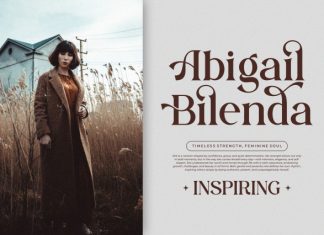 Gilden || Modern Classy Serif Font preview image 3