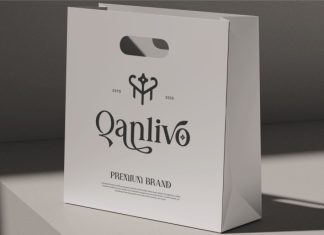Makova || Modern Minimalist Serif Font preview image 3