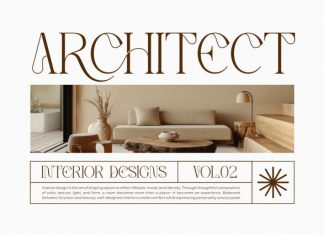 Reichi || Modern Classy Serif Font preview image 3