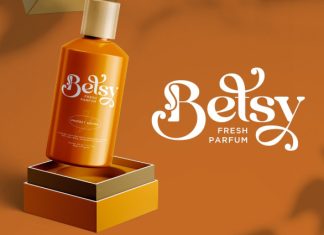 Paradise Morelia – Decorative Elegant Font preview image 3