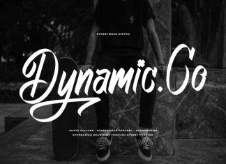 Phantom Asylum  Graffiti Script Font preview image 3