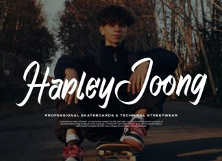 Phantom Asylum  Graffiti Script Font preview image 2