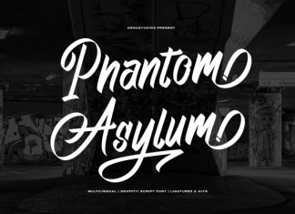 Phantom Asylum  Graffiti Script Font preview image 1