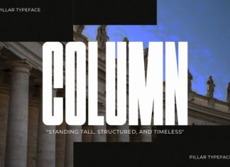 Pillar – Condensed Sans Serif Font preview image 3