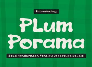 Plum Porama Bold Handwritten Font preview image 1