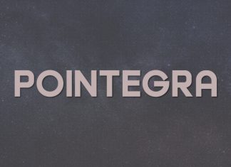 Pointegra Font preview image 1