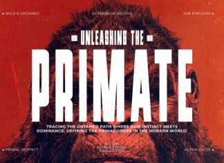 Primate – Condensed Sans Serif Font preview image 2