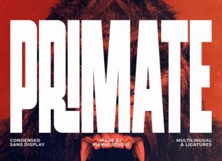 Primate – Condensed Sans Serif Font preview image 1