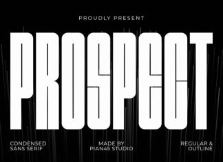 Prospect – Condensed Sans Serif Font preview image 1