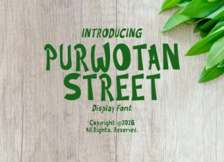 Purwotan Street Playful Display Font preview image 1