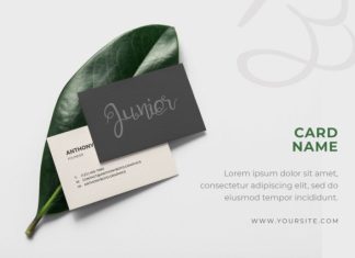 Quick Junior Decorative Calligraphy Font preview image 2