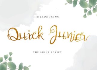 Quick Junior Decorative Calligraphy Font preview image 1