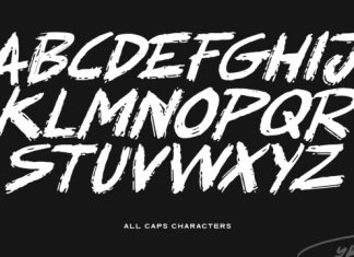 Recover Modified Font preview image 2