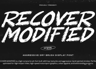 Recover Modified Font preview image 1