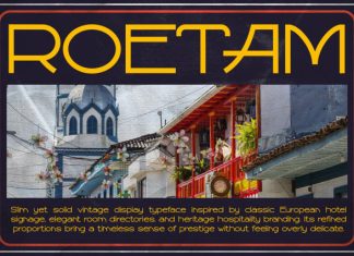 ROETAM Font preview image 1