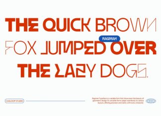 Ragman – Futuristic Sans 9 Fonts preview image 2