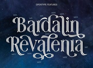 Rainhalf – Decorative Serif Display Font preview image 3