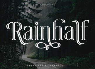 Rainhalf – Decorative Serif Display Font preview image 1