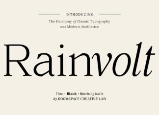 Rainvolt – Classic Letterforms Font preview image 1