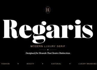 Regaris Thin Font preview image 1
