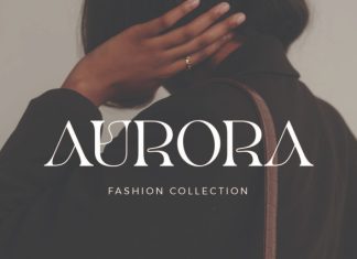 Remon – Modern Elegant Serif Font preview image 3