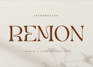 Remon – Modern Elegant Serif Font preview image 1