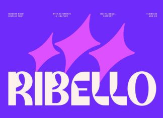 Ribello – Unique Bold Display Font preview image 1