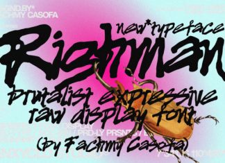 Righman Font preview image 1