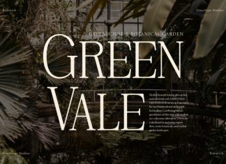 Rinovich Display Serif Font preview image 3