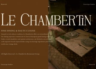 Rinovich Display Serif Font preview image 2