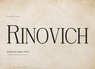 Rinovich Display Serif Font preview image 1