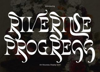 Riverine Progress – Modern Serif Font preview image 1