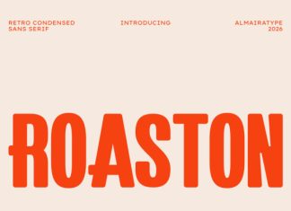 Roaston Font preview image 1