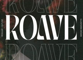 Roave – Modern Elegant Serif Font preview image 1