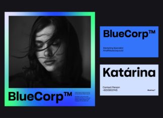 Robout – Rigit Sans 9 Fonts preview image 3