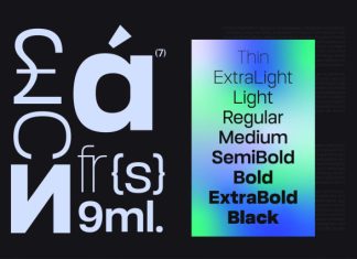 Robout – Rigit Sans 9 Fonts preview image 2
