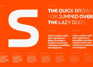 Robout – Rigit Sans 9 Fonts preview image 2