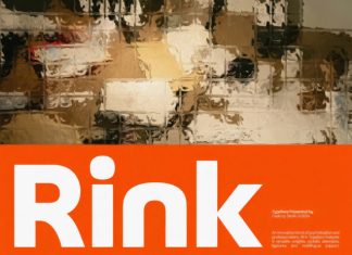 Robout – Rigit Sans 9 Fonts preview image 1