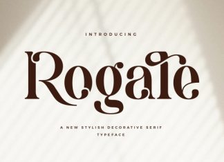 Rogale – Stylish Decorative Serif Font preview image 1
