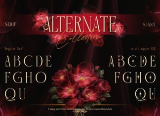 Romane – Elegant Serif Font preview image 3