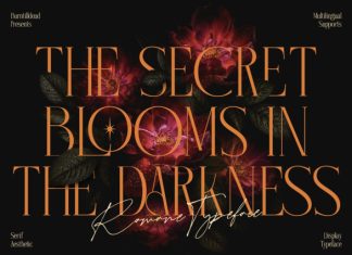 Romane – Elegant Serif Font preview image 2