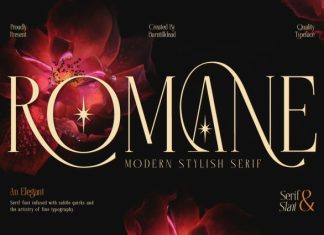 Romane – Elegant Serif Font preview image 1