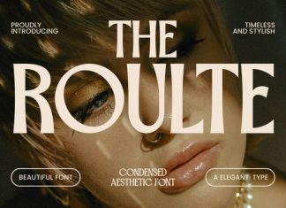 Roulte – Elegant Condensed SansSerif Font preview image 1