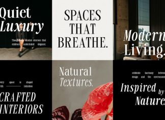Rovair Lekosty – Modern Serif Font preview image 3