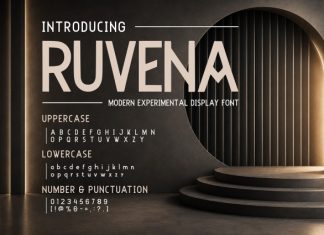 RUVENA — Modern Experimental Display Font preview image 1
