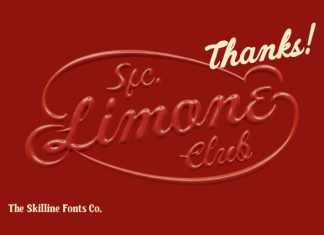 SFC Limone Club Script Font preview image 3