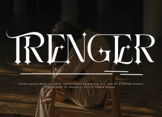 SOCIETAL DISEASES FONT preview image 2